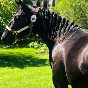 Meet your Posher, Juan